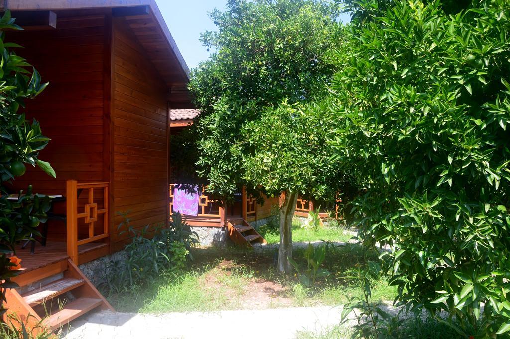 Safir Pansiyon Çıralı Ngoại thất bức ảnh