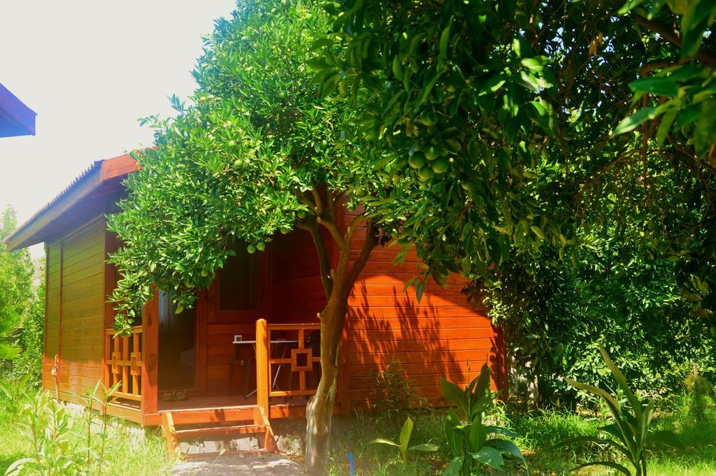 Safir Pansiyon Çıralı Ngoại thất bức ảnh
